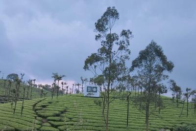 3 days Munnar Tour Package 3 days Munnar Tour Package