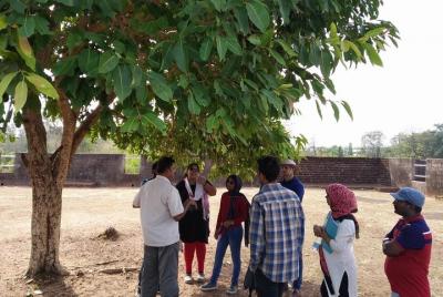 Nine to Four: A Slice of North Malabar by Tyndis - Full Day Tour Nine to Four: A Slice of North Malabar by Tyndis - Full Day Tour