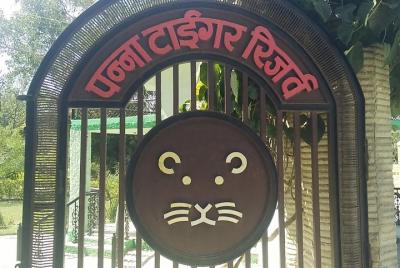 Panna Safari Trip by Asahi India Tours- Panna National Park-Panna Tiger Reserve. Panna Safari Trip by Asahi India Tours- Panna National Park-Panna Tiger Reserve.