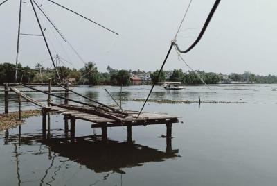 Kochi Backwater Experience including transfer by Tuk Tuk  Kochi Backwater Experience including transfer by Tuk Tuk