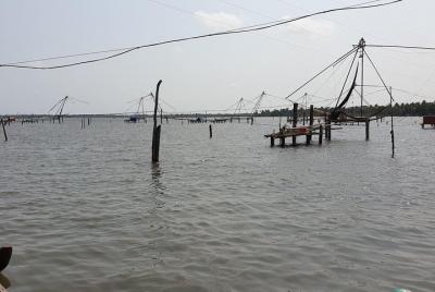 Full Day Kumbalangi Village Tour Full Day Kumbalangi Village Tour