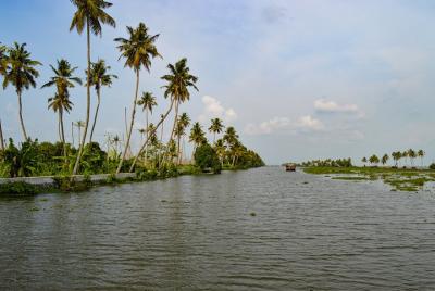 One full day trip to Alleppey Houseboat from Kochi. One full day trip to Alleppey Houseboat from Kochi.