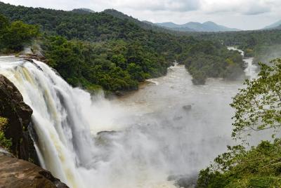 One day trip to Athirapally from Kochi. One day trip to Athirapally from Kochi.