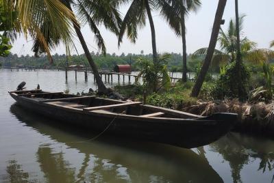 Cruise Shore Excursion - Cochin (Kochi) Village Trip & Lunch  Cruise Shore Excursion - Cochin (Kochi) Village Trip & Lunch