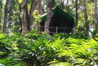 3 Days Yoga Retreat in Munnar with Yoga, Massage, Trekking and Tree House stay 3 Days Yoga Retreat in Munnar with Yoga, Massage, Trekking and Tree House stay