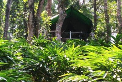 4 days YOGA retreat in Munnar 4 days YOGA retreat in Munnar