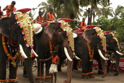 8 Days Kerala Private Tour Covering Kochi- Munnar- Periyar- Alleppey and Kovalam 8 Days Kerala Private Tour Covering Kochi- Munnar- Periyar- Alleppey and Kovalam