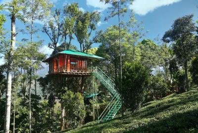 Treehouse stay in munnar Treehouse stay in munnar