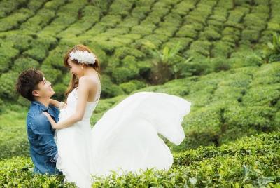 Kerala Honeymoon Special Package with Tree house and Private Houseboat  Kerala Honeymoon Special Package with Tree house and Private Houseboat