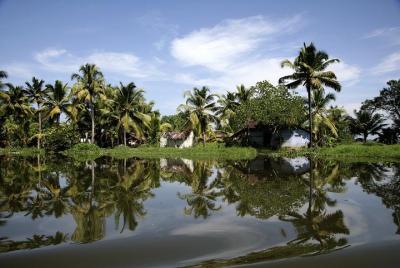 Day Trip to Kumbalangi Day Trip to Kumbalangi