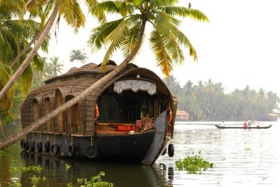 From Cochin Port: Backwater Cruise by Houseboat From Cochin Port: Backwater Cruise by Houseboat