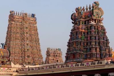 Cochin to Madurai the Backwater, Tea Estate & Temple Tour Cochin to Madurai the Backwater, Tea Estate & Temple Tour