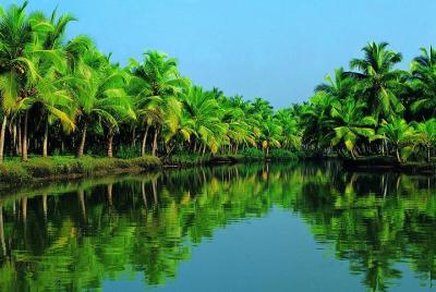 Shore Excursions from Cochin Cruise Terminal Shore Excursions from Cochin Cruise Terminal