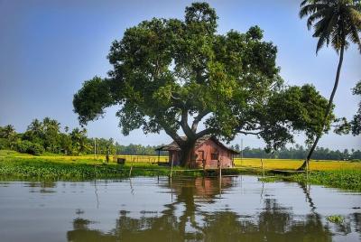 Relax In a Backwaters - A Two-night Excursion From Cochin With Private Transfers Relax In a Backwaters - A Two-night Excursion From Cochin With Private Transfers