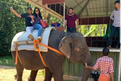 1N/2D Munnar Excursions from Cochin Hotel/Airport with Hotel Stay  1N/2D Munnar Excursions from Cochin Hotel/Airport with Hotel Stay