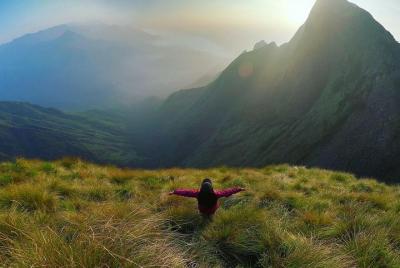 Kerala premium private tour for 7 nights 8 days with houseboat Kerala premium private tour for 7 nights 8 days with houseboat