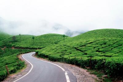 Best Kerala Tour Package Best Kerala Tour Package