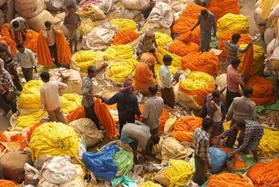 Kolkata - Sounds and Sights - Private Full Day City Tour Kolkata - Sounds and Sights - Private Full Day City Tour