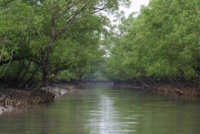 Sunderban Mangrove Wetland - Tiger Reserve (3 Days) Sunderban Mangrove Wetland - Tiger Reserve (3 Days)