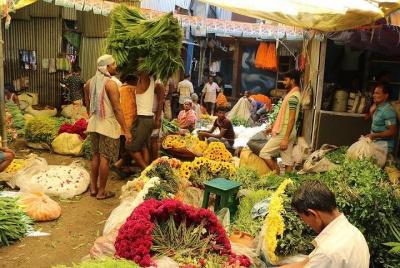 Mallick Ghat Flower Market Morning Walk Half Day Tour Mallick Ghat Flower Market Morning Walk Half Day Tour
