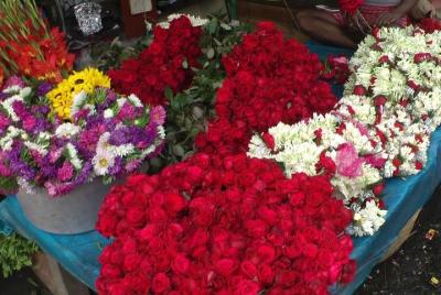 Morning tour of Kolkata with Flower Market Morning tour of Kolkata with Flower Market