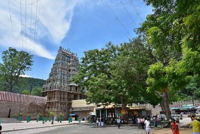 Nature & Spiritual Trails of Madurai (2 Hours Guided Walking Tour) Nature & Spiritual Trails of Madurai (2 Hours Guided Walking Tour)