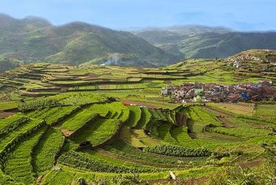 Private 3-Day Tour to Kodaikanal with Accommodation Private 3-Day Tour to Kodaikanal with Accommodation