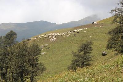 Bhrigu Lake Trek in Himalayas by The Countryside Travels Bhrigu Lake Trek in Himalayas by The Countryside Travels