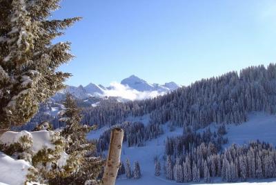 Exotic Manali Package Exotic Manali Package