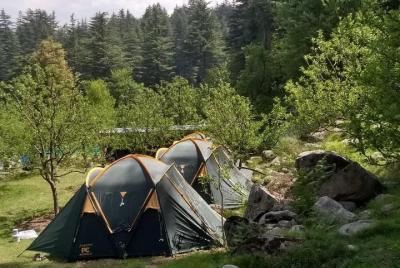 Camping in Manali  Camping in Manali