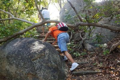 ✨La Roqueta Island Hiking, Lunch & Drinks