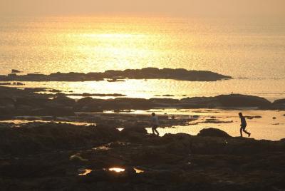 Day trip to Global Vipassana, Vailankani church & hidden beaches of Mumbai Day trip to Global Vipassana, Vailankani church & hidden beaches of Mumbai