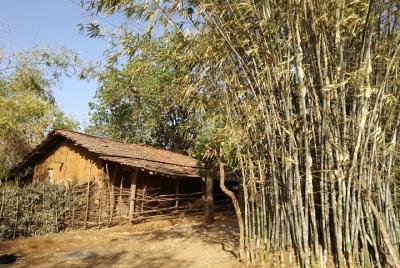 A Day with the Warli Tribe A Day with the Warli Tribe
