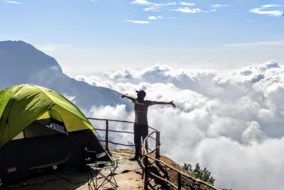 Ooty and wayanad trips Ooty and wayanad trips