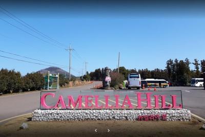 Jeju Camellia hill Discount Ticket With Private Transfer(One way,