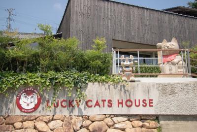 Skip the Line: Okayama Lucky Cats House: Take Your Own Lucky Cat 