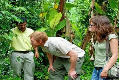 Munnar Tea valley Tour Munnar Tea valley Tour