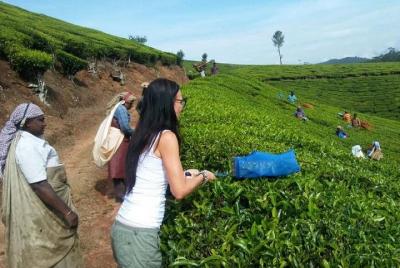 Make Your own Tea In Munnar Make Your own Tea In Munnar