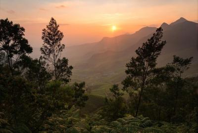Trek to Meesapulimala - A Guided Tour With Pick up and Drop Jeep Trek to Meesapulimala - A Guided Tour With Pick up and Drop Jeep