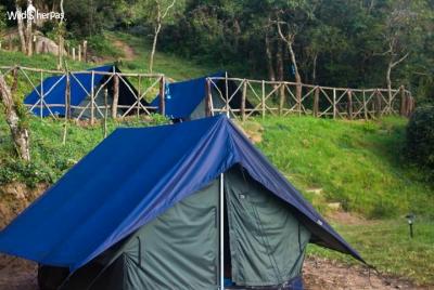 Adventure Camping Munnar in Kerala including Dinner Adventure Camping Munnar in Kerala including Dinner