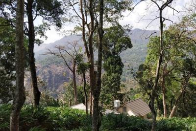 Chai Resort Munnar ( 1 night 2 days on a tree top tent house with jungle view ) Chai Resort Munnar ( 1 night 2 days on a tree top tent house with jungle view )