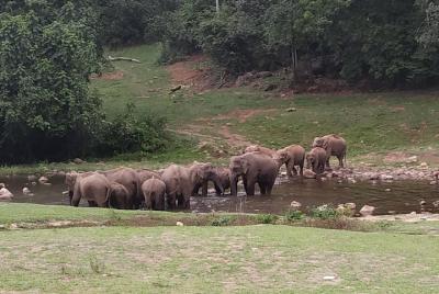 1 Day Activity Adventure Trekking Kerala 1 Day Activity Adventure Trekking Kerala