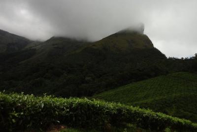 Trek to Lakshmi Hills, Munnar - A Guided Group Tour Trek to Lakshmi Hills, Munnar - A Guided Group Tour