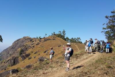 Trekking in Munnar Trekking in Munnar