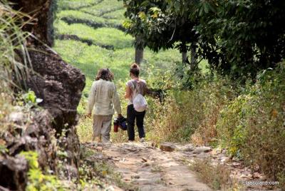 Half day trekking at Letchmi Hills in Munnar Half day trekking at Letchmi Hills in Munnar