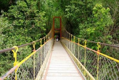 Coorg Day Excursion from Mysore Coorg Day Excursion from Mysore