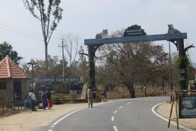 Day Trip to Bandipur National Park (Guided Sightseeing Tour by Car from Mysore) Day Trip to Bandipur National Park (Guided Sightseeing Tour by Car from Mysore)