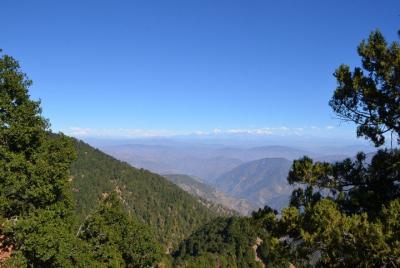 Nainital Nature Trekking Experience (4 Hours guided experience)  Nainital Nature Trekking Experience (4 Hours guided experience)