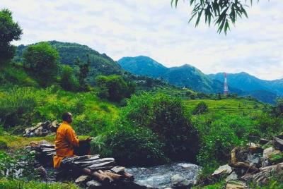 Forest Bathing Retreat Forest Bathing Retreat