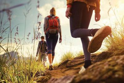 Half day Top Valley trek in Munnar Half day Top Valley trek in Munnar